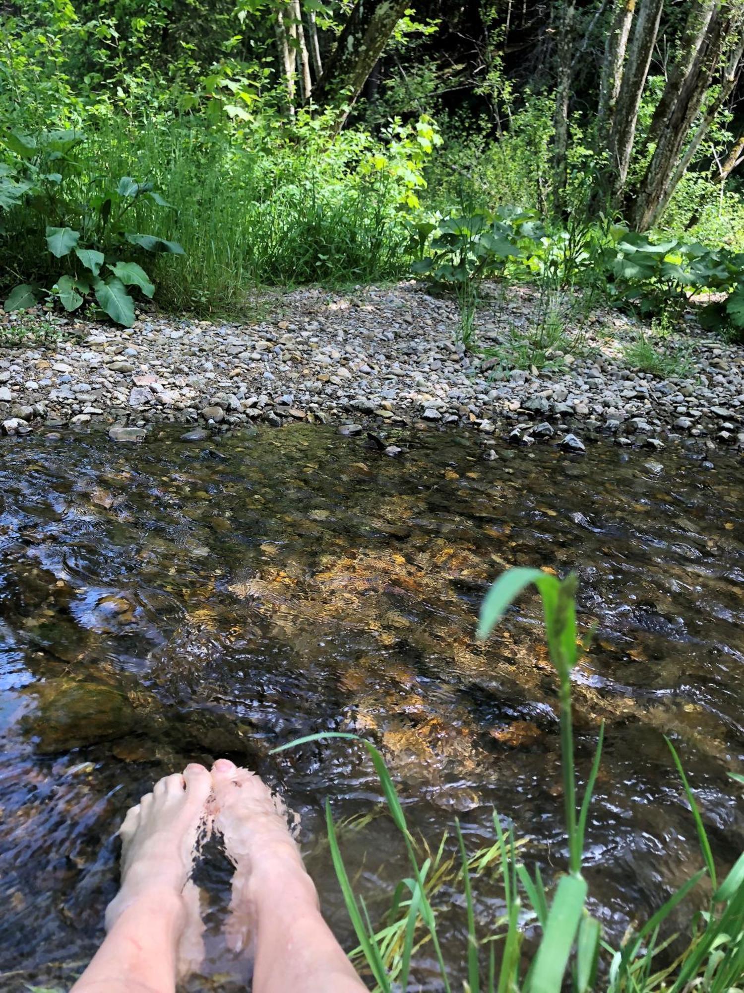 Natur- & Aktivoase Buchenberg  Екстер'єр фото
